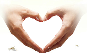 兆量网络,网站维护托管