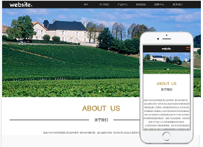 烟酒行业响应式模板